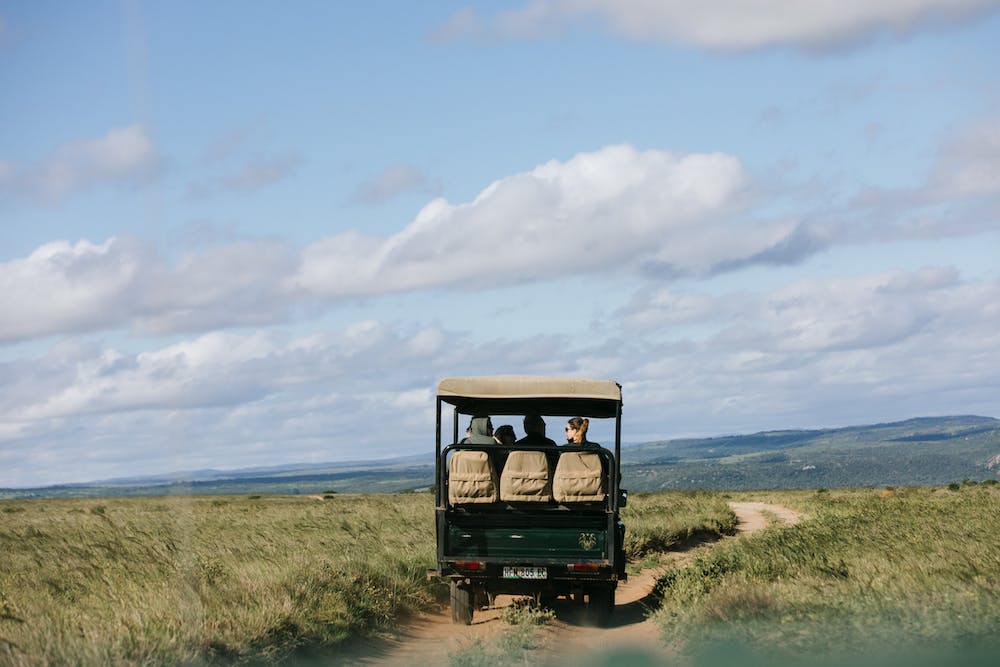 Epic Road Trips: Exploring Iconic Routes Around the World