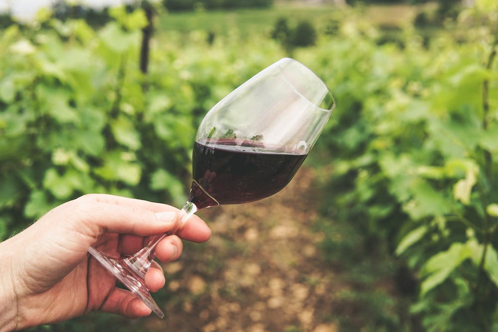 Wine Tasting and Vineyard Adventures: Discovering the World’s Best Wineries