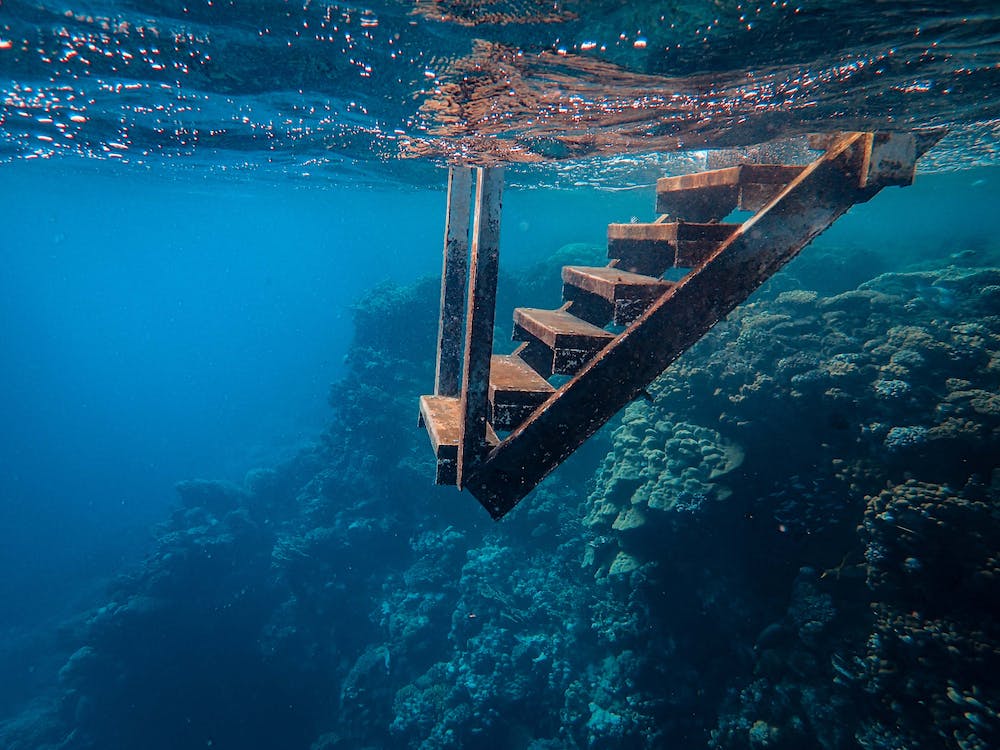 Exploring Caribbean Coral Reefs: Snorkeling and Diving Adventures