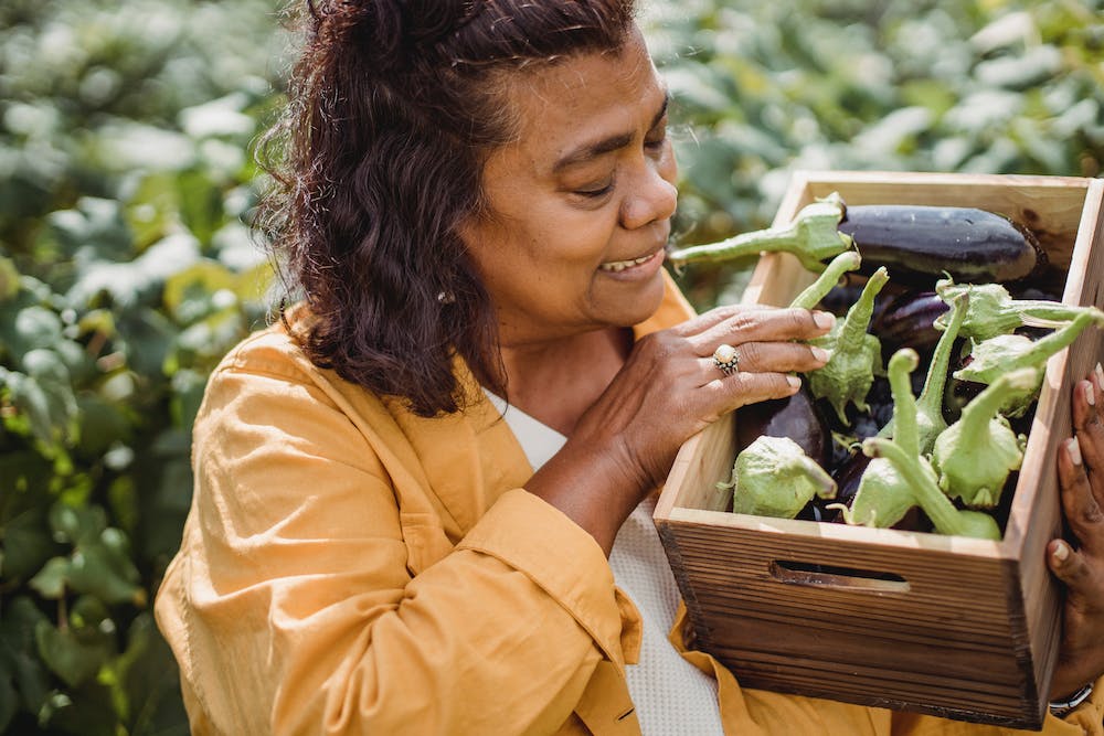 Farmers’ Market Finds: Fresh and Flavorful Recipes with Local Produce