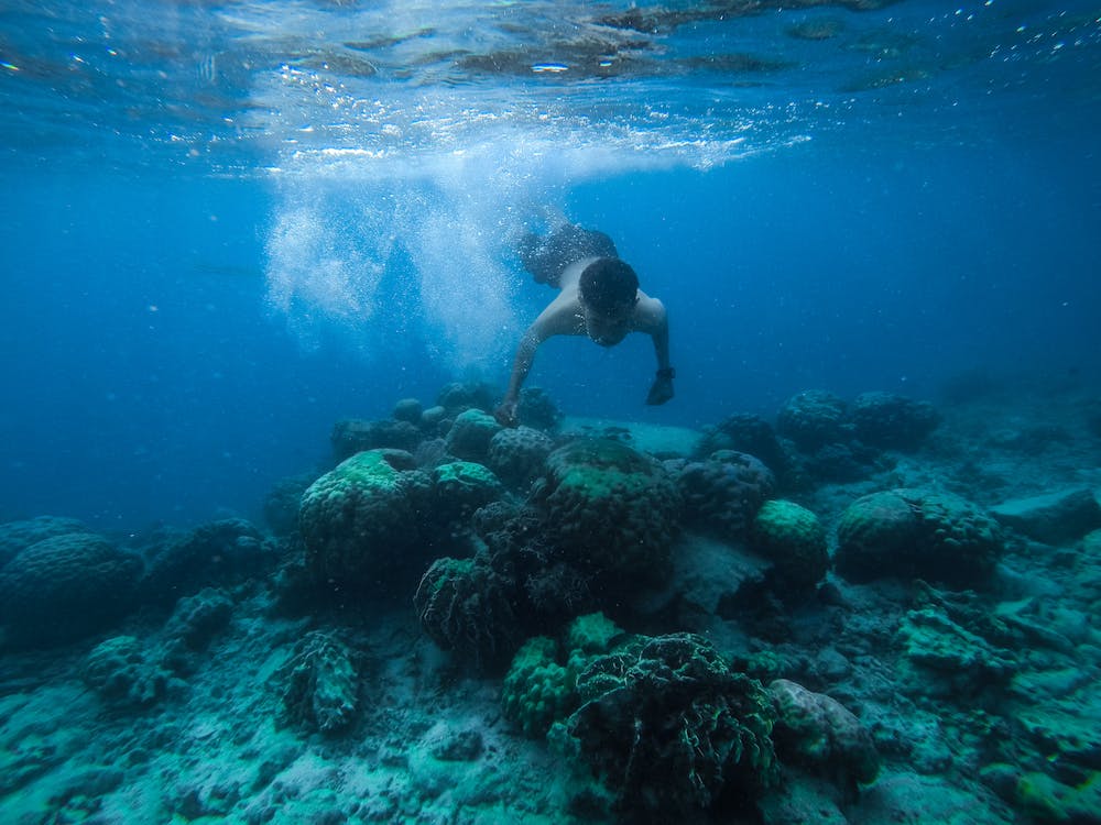 Exploring Caribbean Coral Reefs: Snorkeling and Diving Adventures