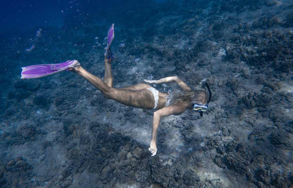 Exploring Caribbean Coral Reefs: Snorkeling and Diving Adventures